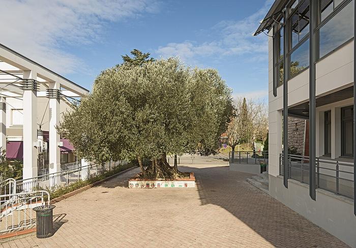 L’Union- Immobilier - CENTURY 21 Sud Azur Immobilier  - olivier_millénaire_place_de_la_mairie